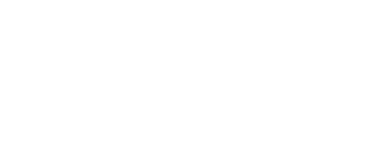 The Financial Services Forum logo